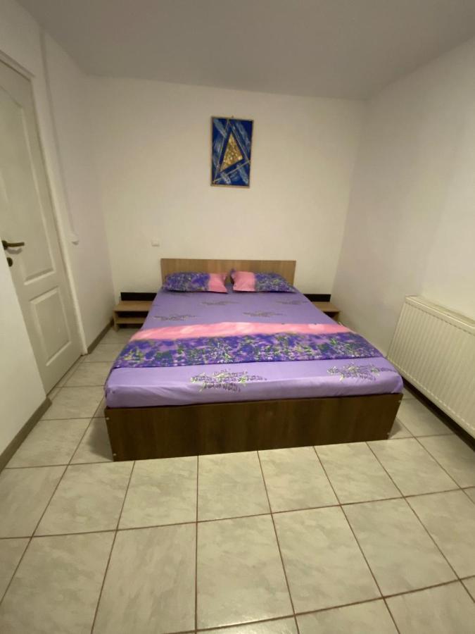 דירות קורבו Casa Ionut מראה חיצוני תמונה