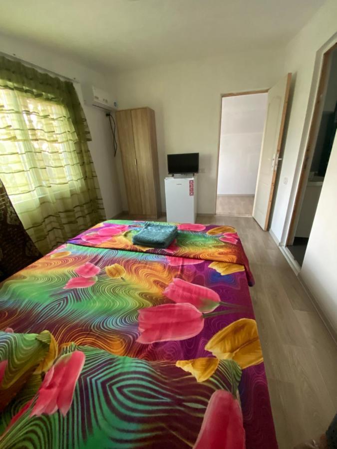 דירות קורבו Casa Ionut מראה חיצוני תמונה